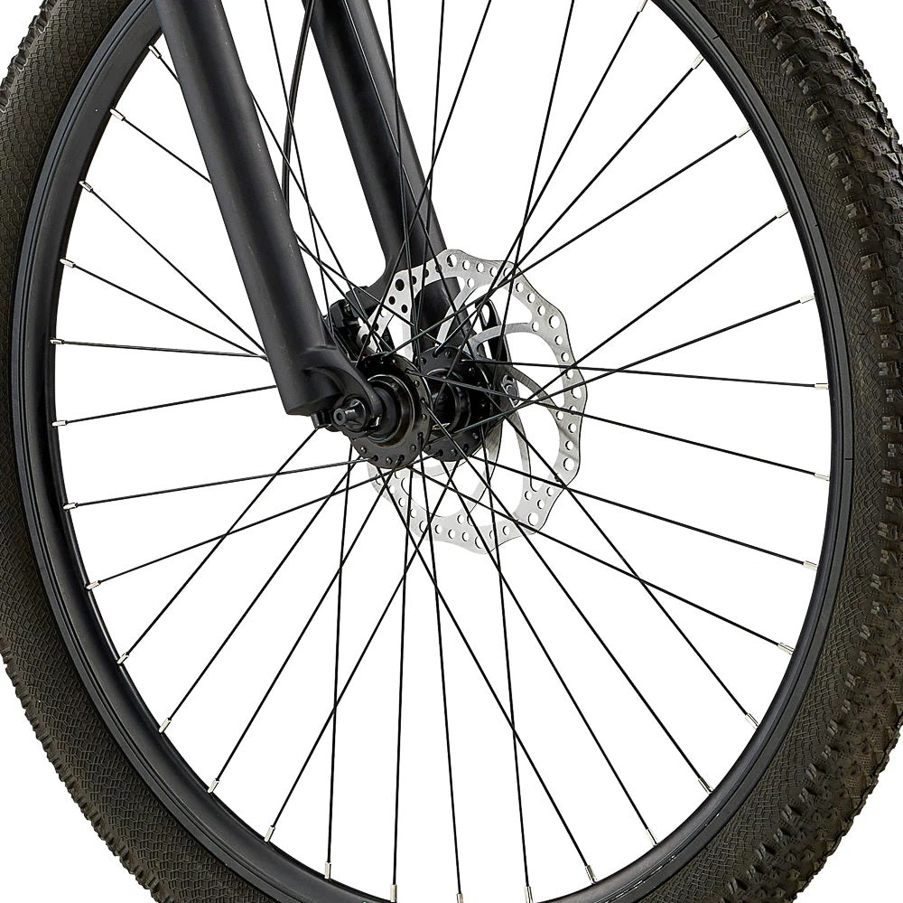2024 Eastern Bikes Alpaka 29" 9 Speed MTB Men's Hardtail Mountain Bicycle