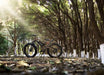 2022 Aostirmotor S18-1500W 48V 7 Speed Full Suspension Fat Tire Electric Mountain Bike - Upzy.com