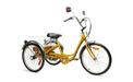 2022 Belize Bike Tri-Rider Elek-Trike 450W 24V 3 Speed Electric Tricycle, 98183 - Upzy.com