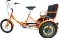 2022 Belize Tri-Rider Buddy 20" 6 Speed 2 Passenger Adaptive Tricycle, 96603 - Upzy.com