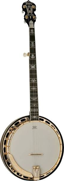 Washburn Americana Series B17K 5 String Banjo Guitar - Upzy.com