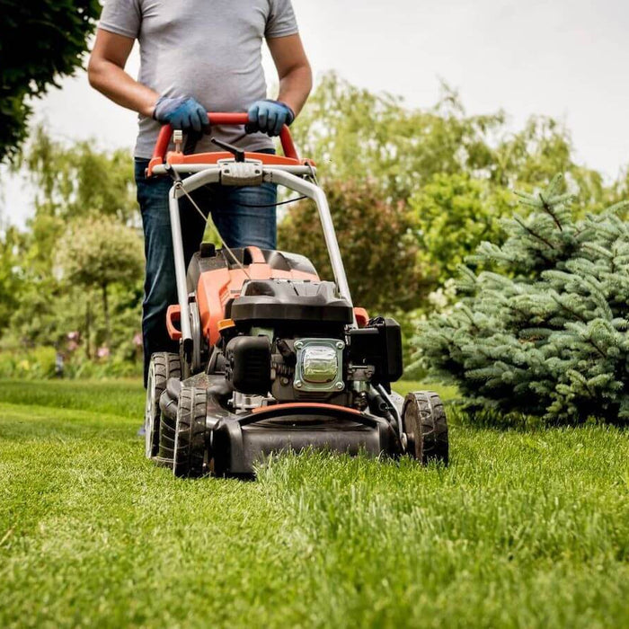 Masport:  Cultivating Excellence in Lawn Care