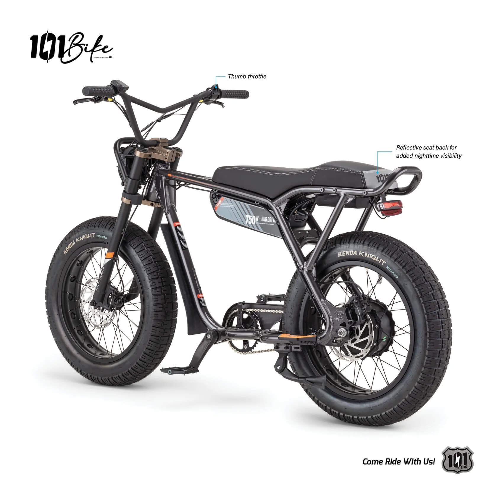 101 Bike SEASIDE 48V Fat Tire Electric Bike