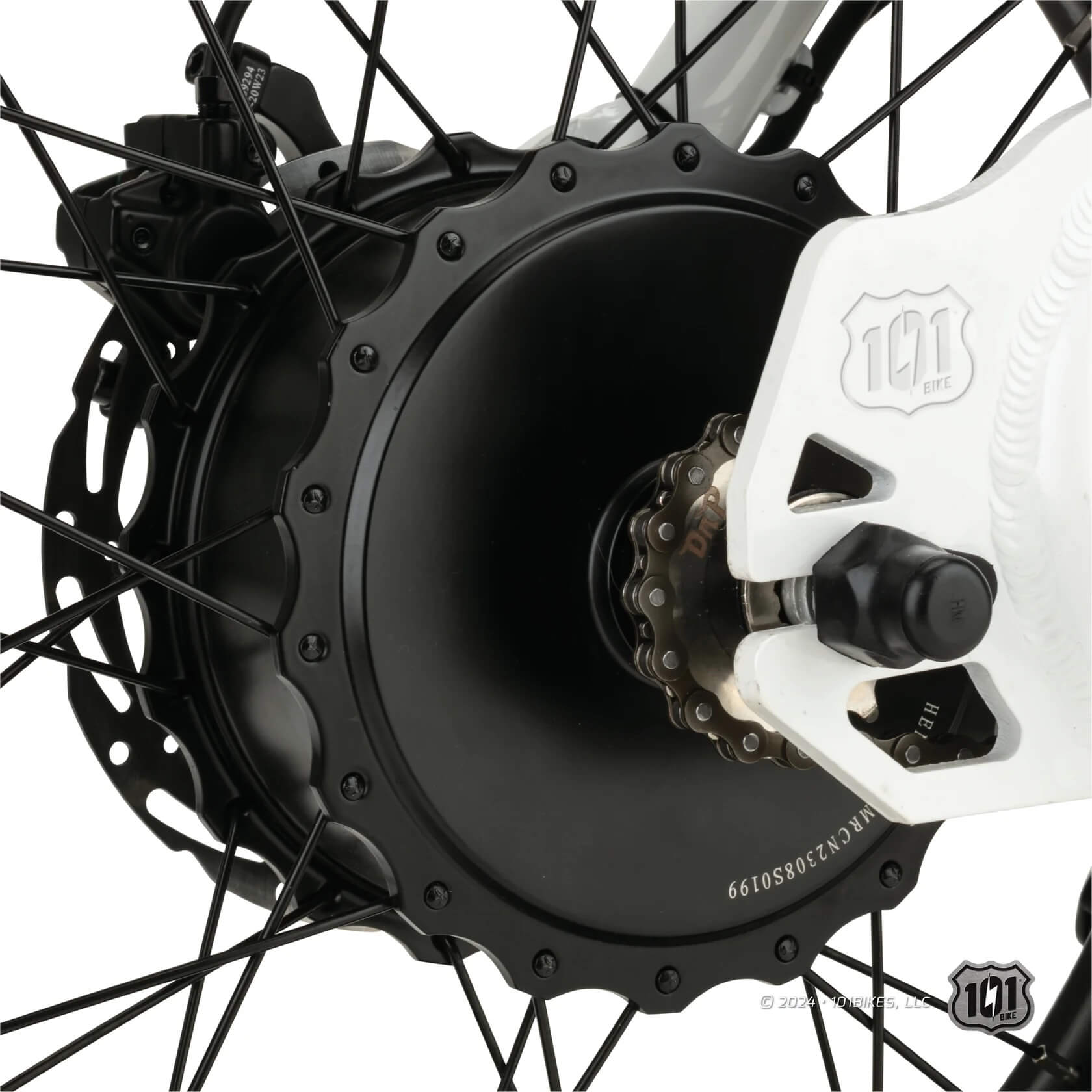 101 Bike SEASIDE 48V Fat Tire Electric Bike