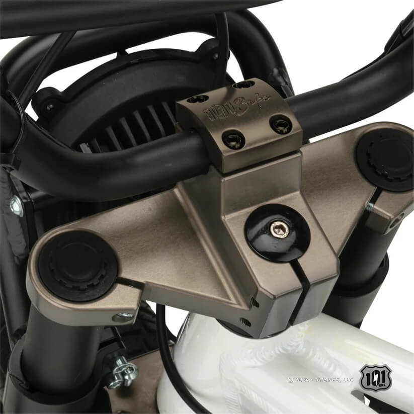 101 Bike SEASIDE 48V Fat Tire Electric Bike