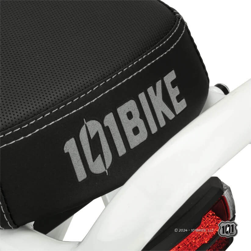 101 Bike SEASIDE 48V Fat Tire Electric Bike