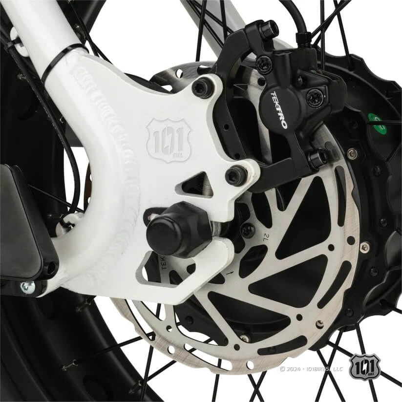 101 Bike SEASIDE 48V Fat Tire Electric Bike