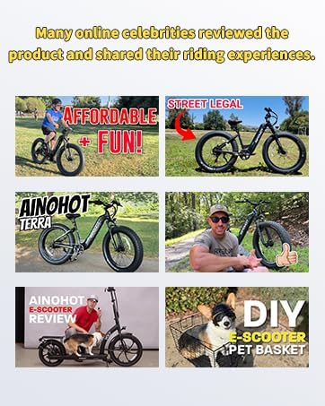 Ainohot Terra 1000W 48V Fat Tire Electric Mountain Bike