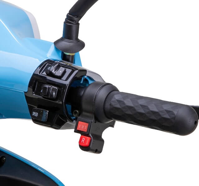 Bespoke ELITE 600W 48V 3 Wheel Electric Mobility Scooter Moped Trike, Fully Assembled