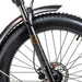 2024 Biktrix Juggernaut CLASSIC DUO Step-Over 750W Mid-Drive Electric Bike-Upzy.com