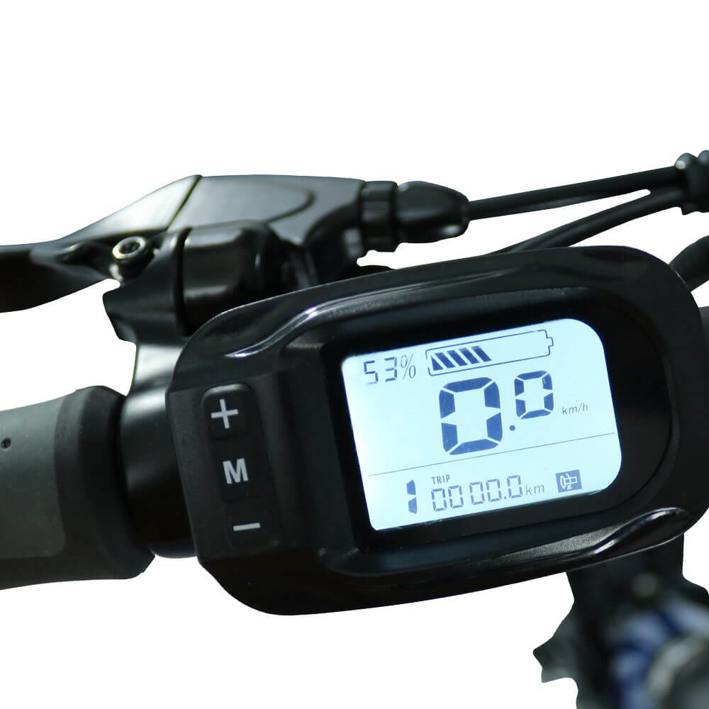 Blaupunkt FIENE 36V 20" Folding Electric Bike