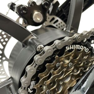 Blaupunkt HENRI 36V 20" Folding Electric Bike