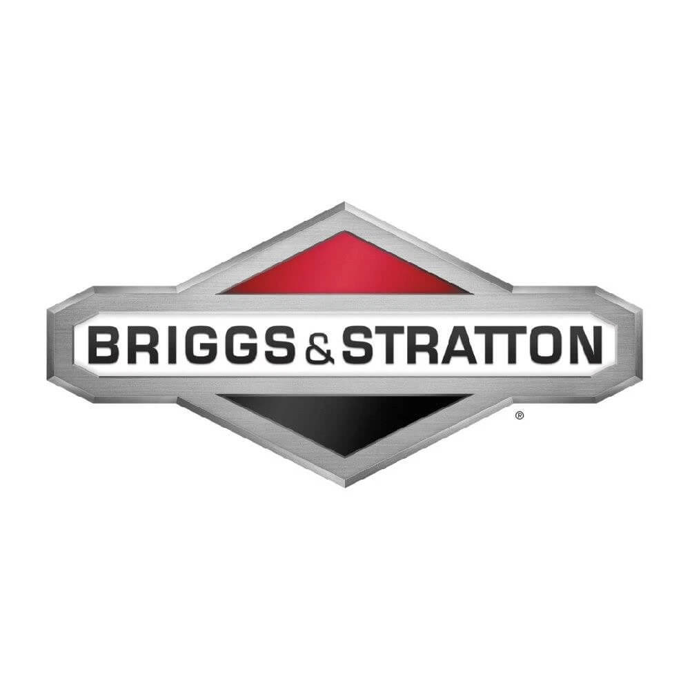 Briggs & Stratton Professional Series 8.5 GT 190cc Vertical Shaft Engine 123P02-0018-F1