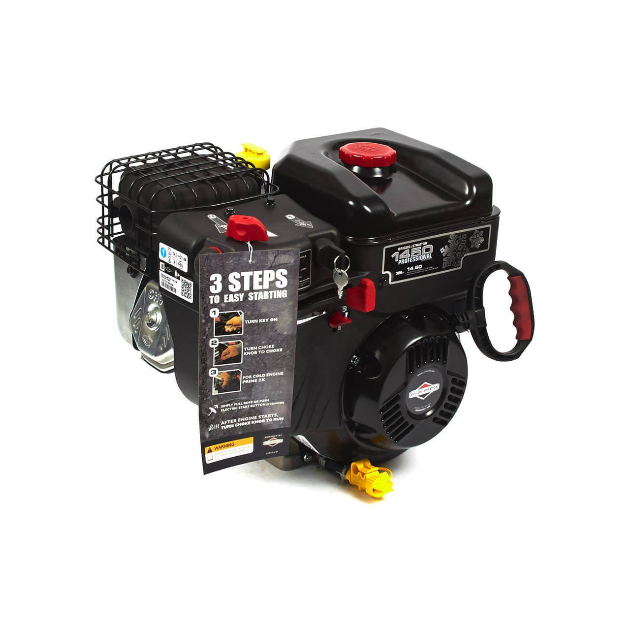 Briggs & Stratton Professional Snow Series 308cc Horizontal Shaft Engine 19J137-0008-F1