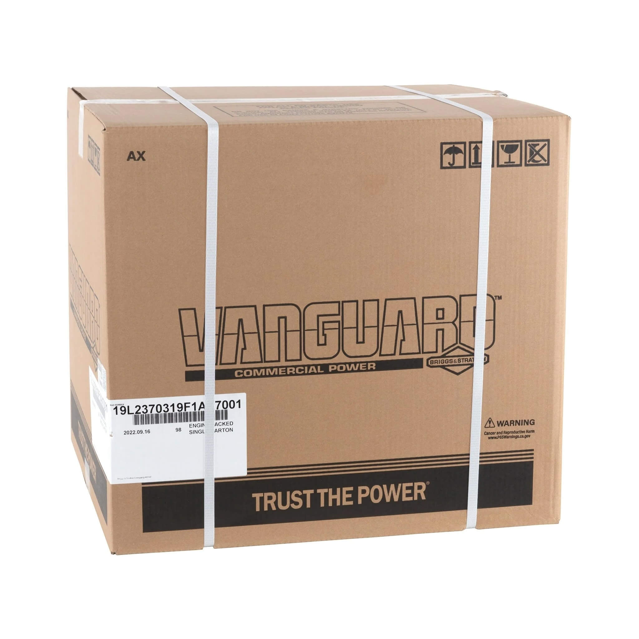 Briggs & Stratton Vanguard 10 HP 305cc Horizontal Shaft Engine 19L237-0319-F1