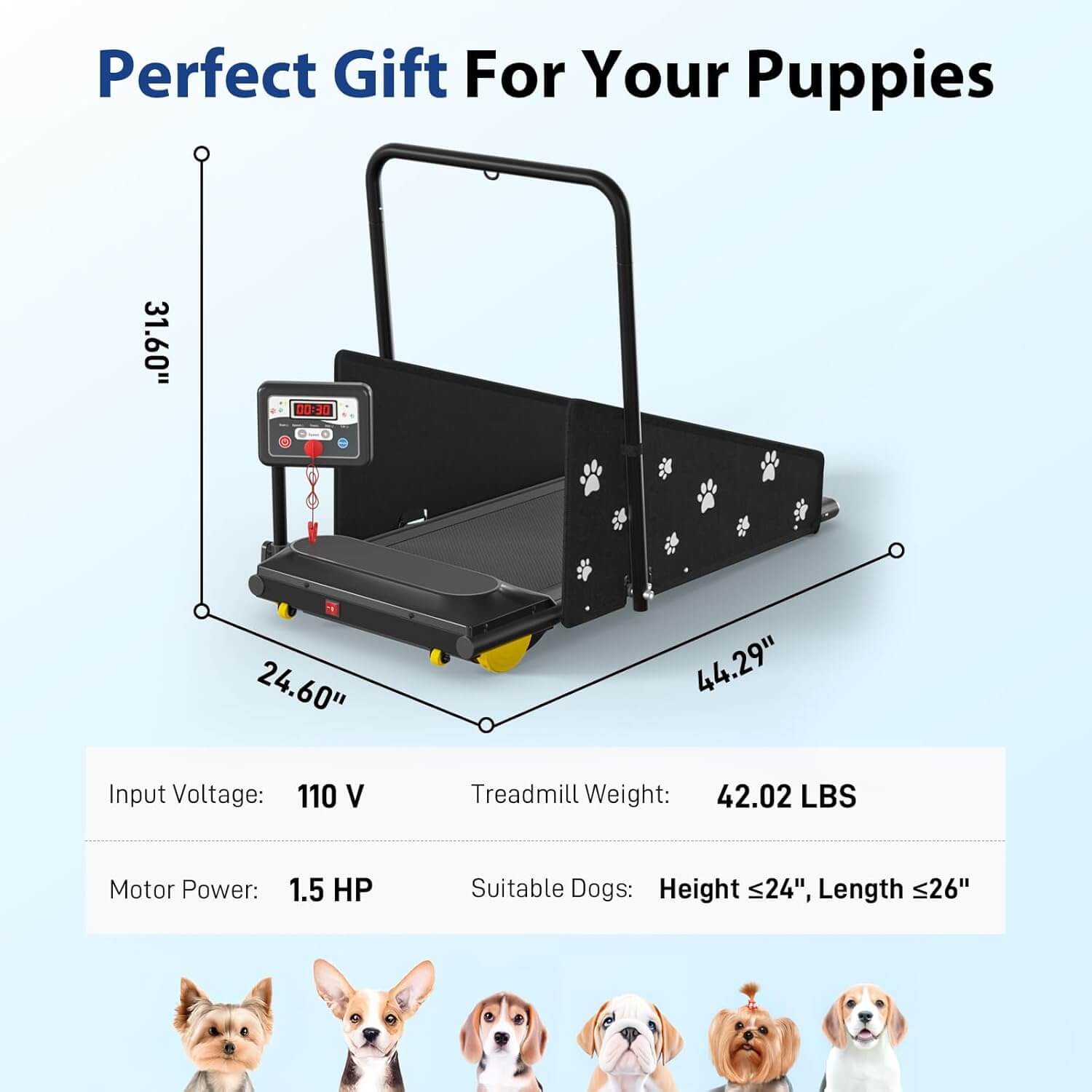 CIIHI C JK08F Dog Treadmill, Small/Medium Dogs
