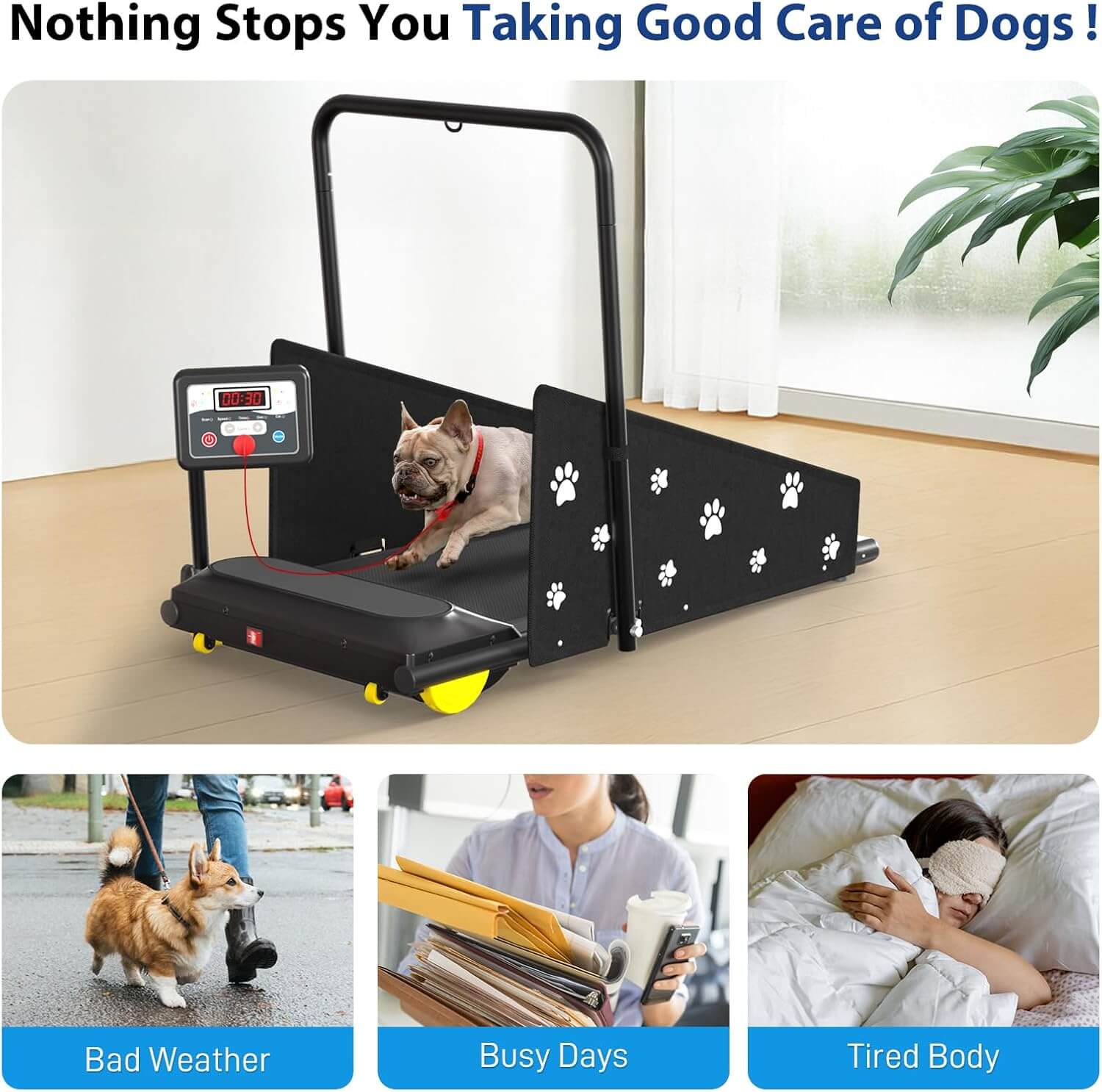 CIIHI C JK08F Dog Treadmill, Small/Medium Dogs