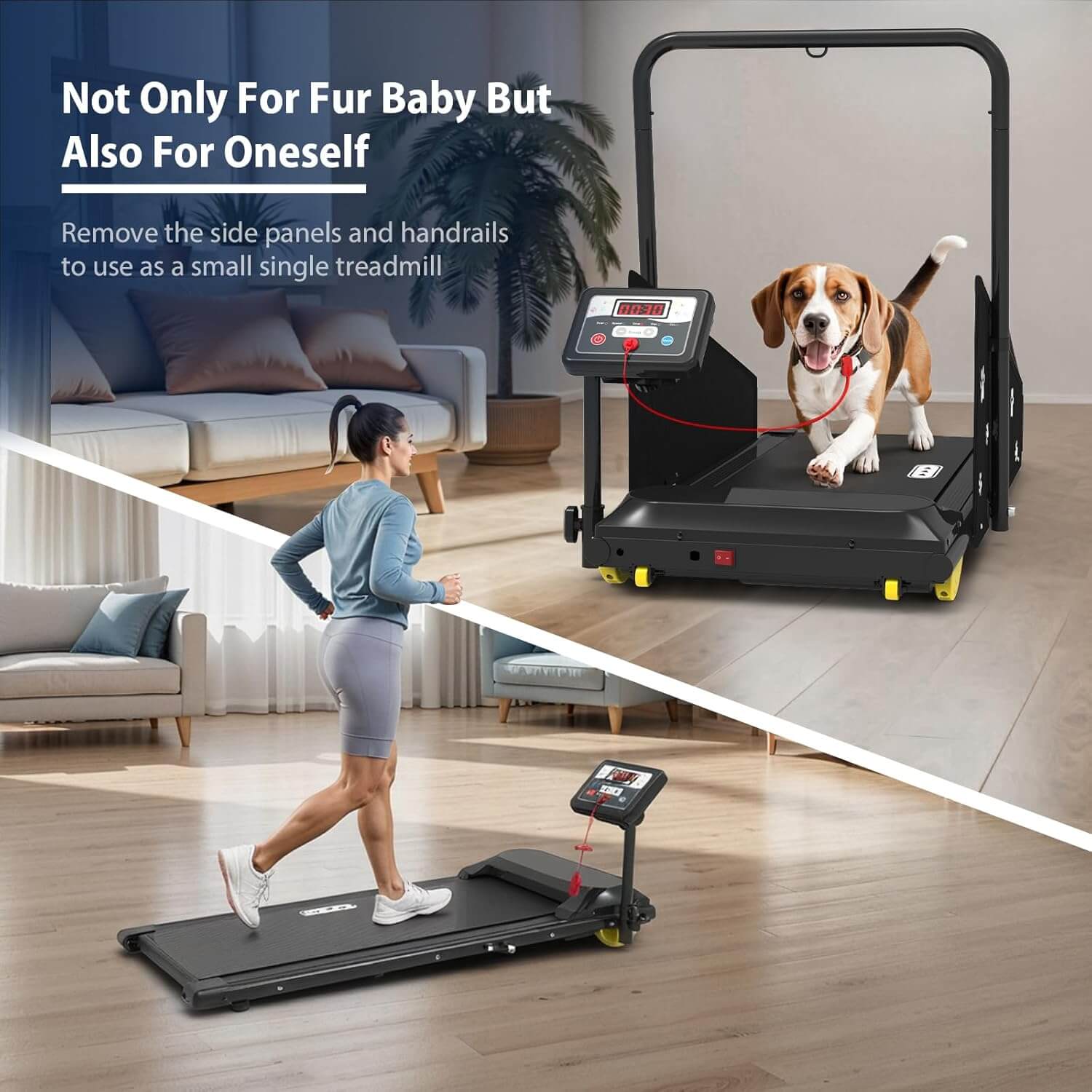CIIHI C JK08F Dog Treadmill, Small/Medium Dogs