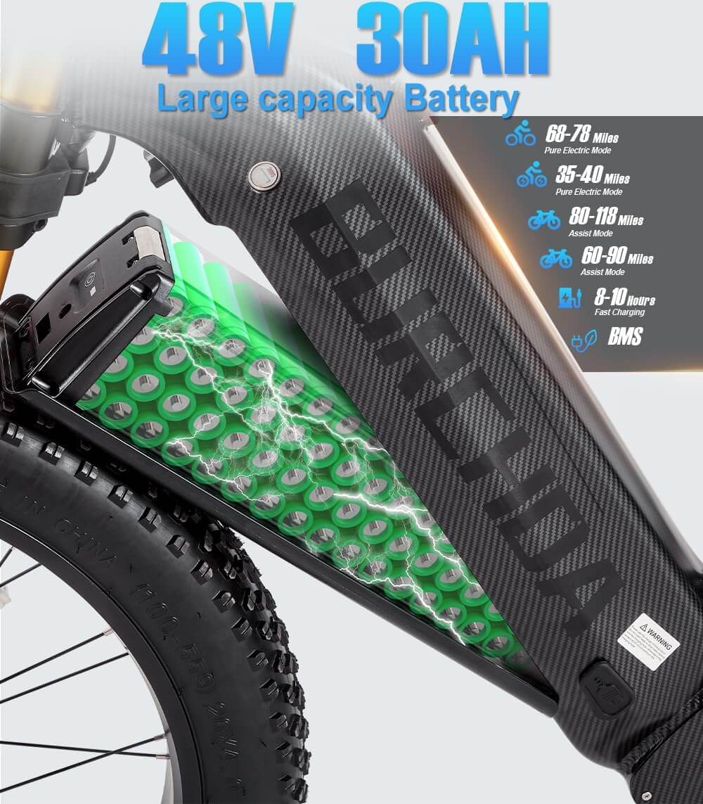 Damson HC26 3000W 48V Dual Motor AWD Fat Tire Electric Bike