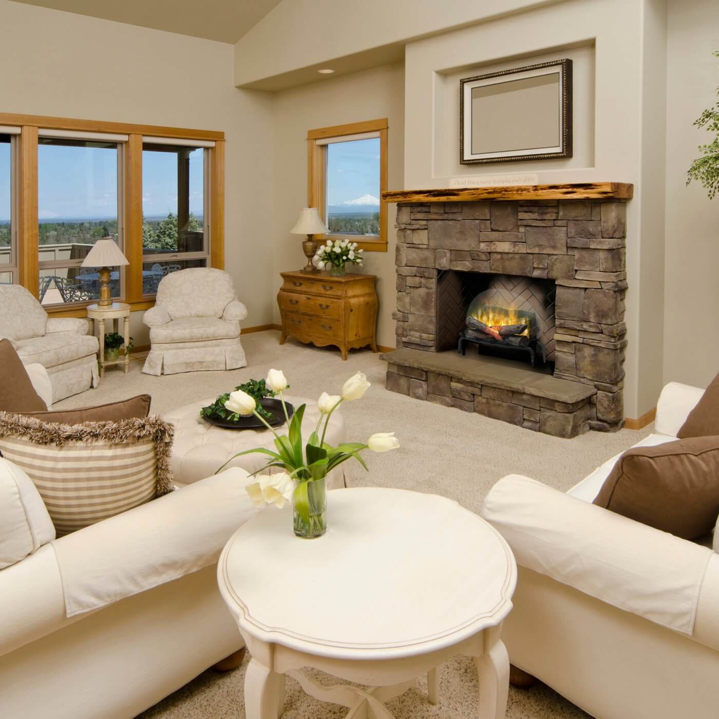 Dimplex REVILLUSION RLG20 20" Plug-In Electric Log Set, Ash Mat, 1500W, 120V