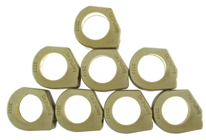 Dr. Pulley 25x17 SLIDING Roller Weights, 169-365