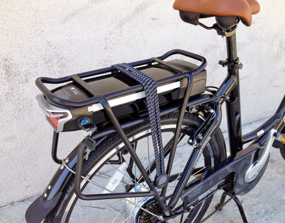 EG Bike Replacement BATTERY for Athens 250 Electric Bike