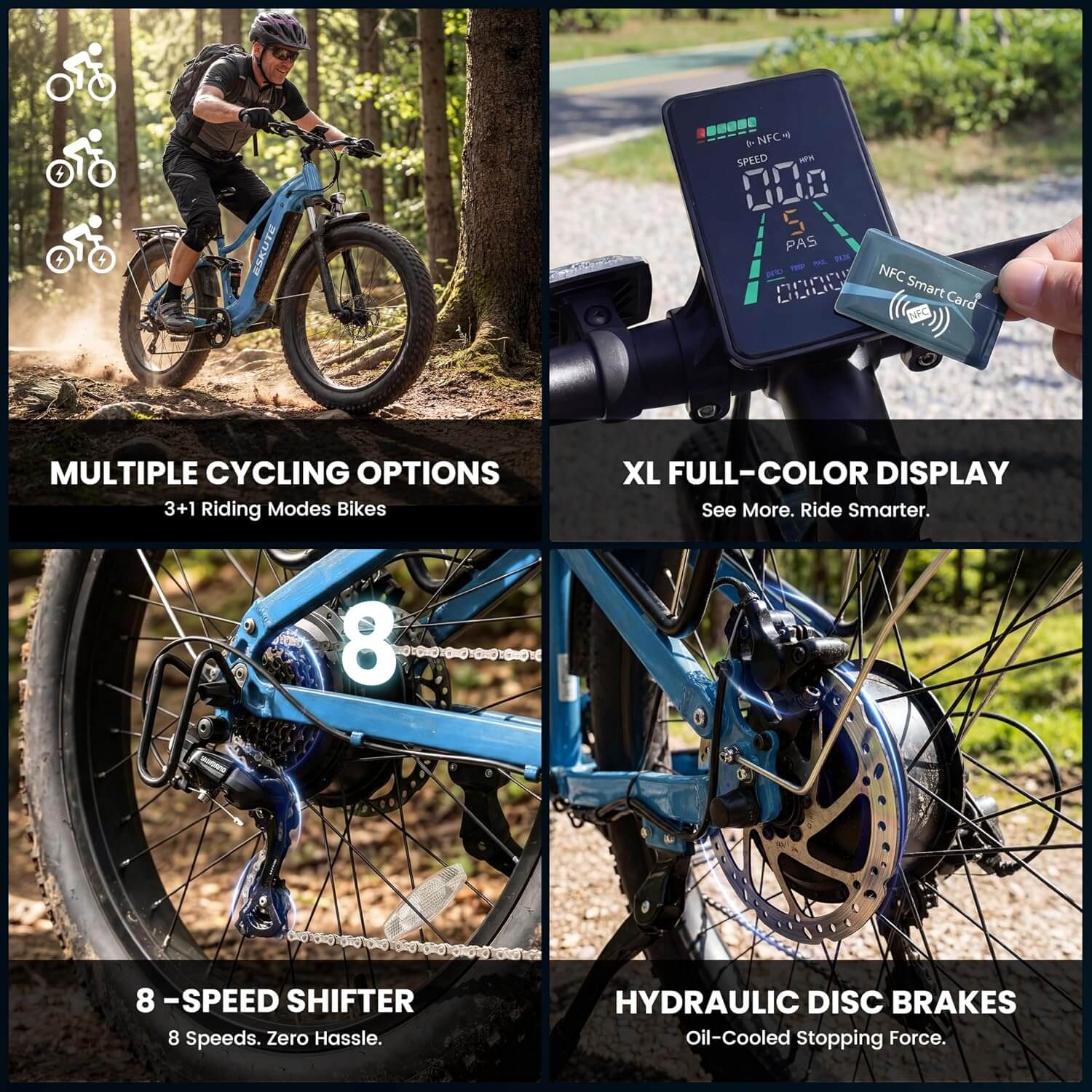 Eskute C300R-SO 1800W 48V 8 Speed Fat Tire Electric Mountain Bike