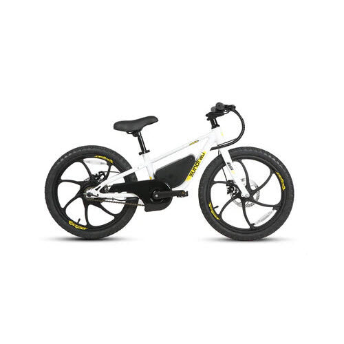2026 Eunorau EKIDS-20 250W 24V 3 Speed Kids Electric Bike