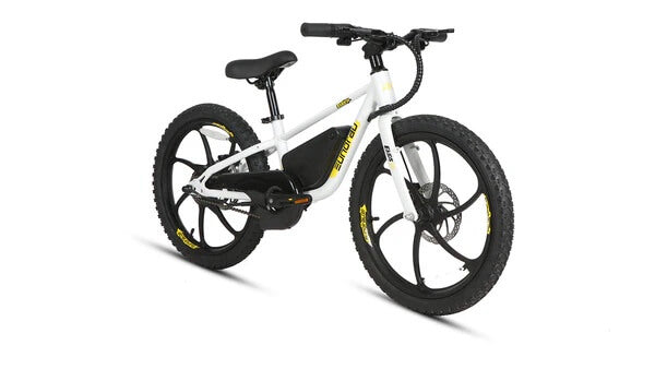 2025 Eunorau EKIDS-20 250W 24V 3 Speed Kids Electric Bike