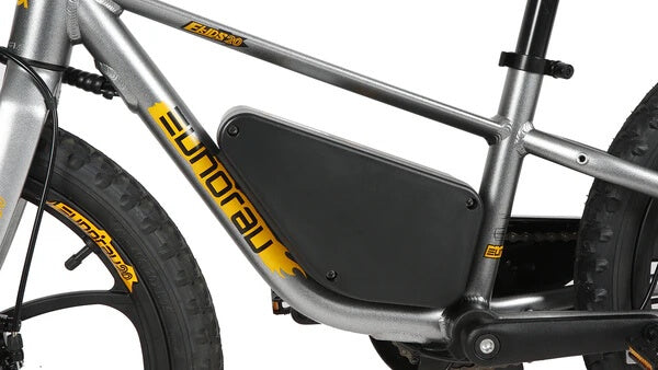 2025 Eunorau EKIDS-20 250W 24V 3 Speed Kids Electric Bike