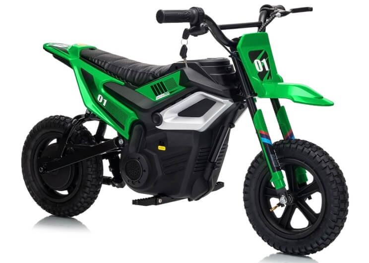 Garvee 350W 24V Electric Dirt Bike, Rear Wheel Suspension