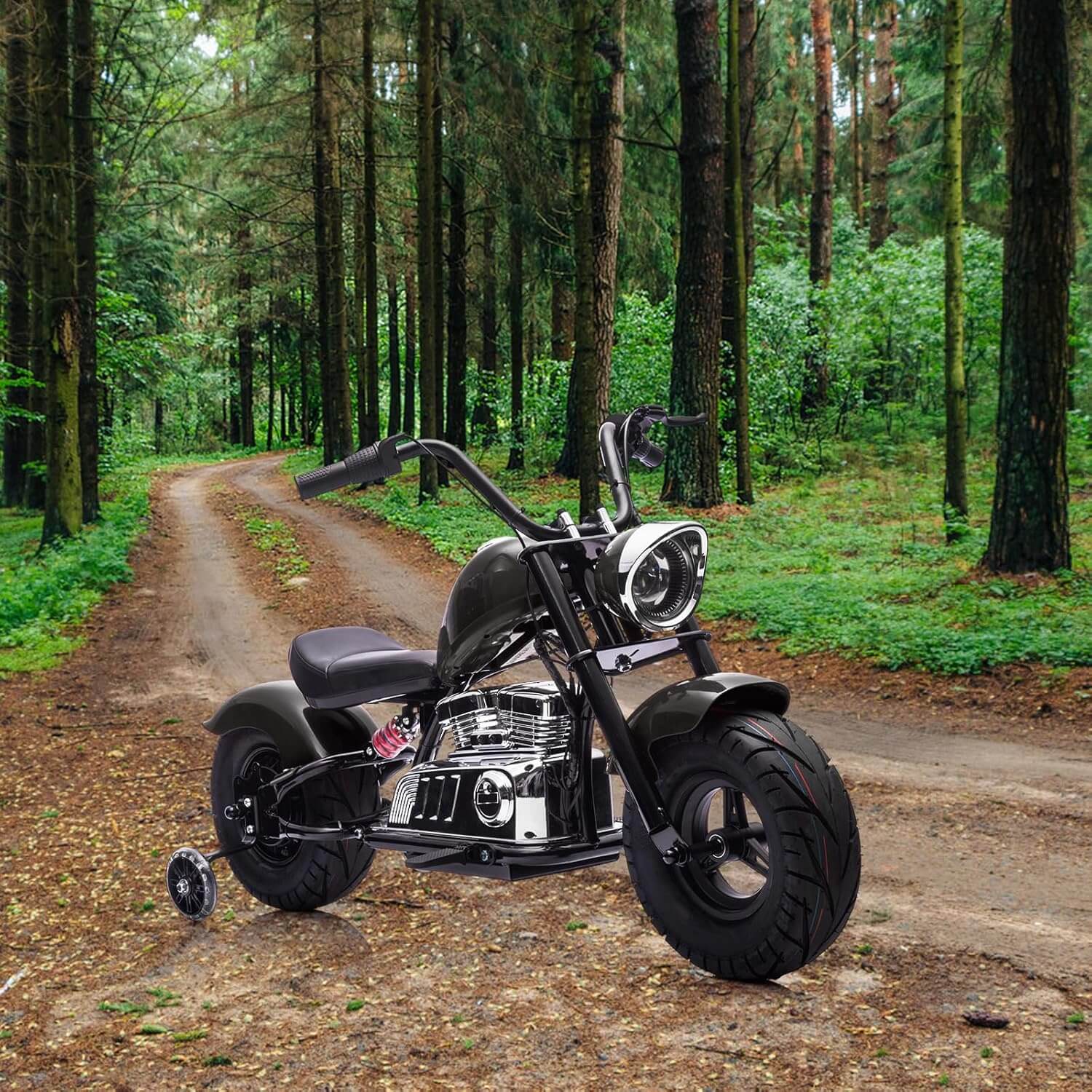 Garvee 350W 36V Suspension Off-Road Electric Dirt Bike