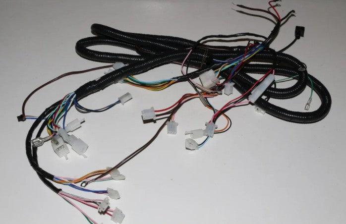 Gio Electric Replacement WIRE HARNESS for Regal Scooter Bike