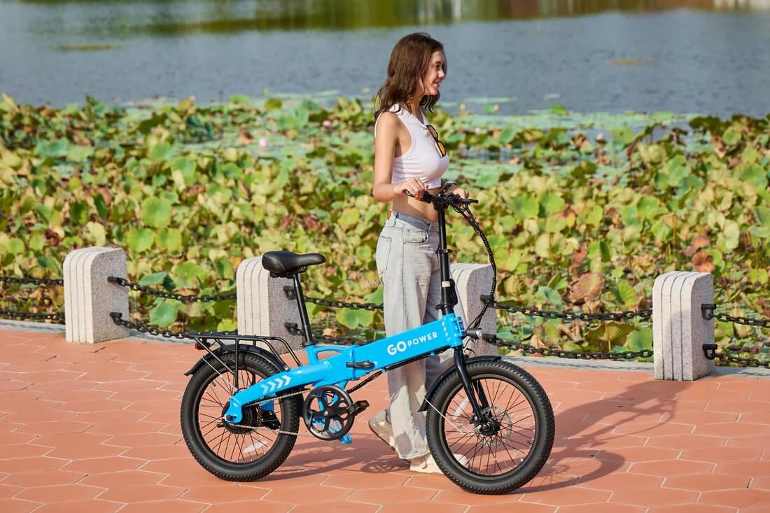 GoPowerBike GoVolt 500W 48V Folding Electric Bike