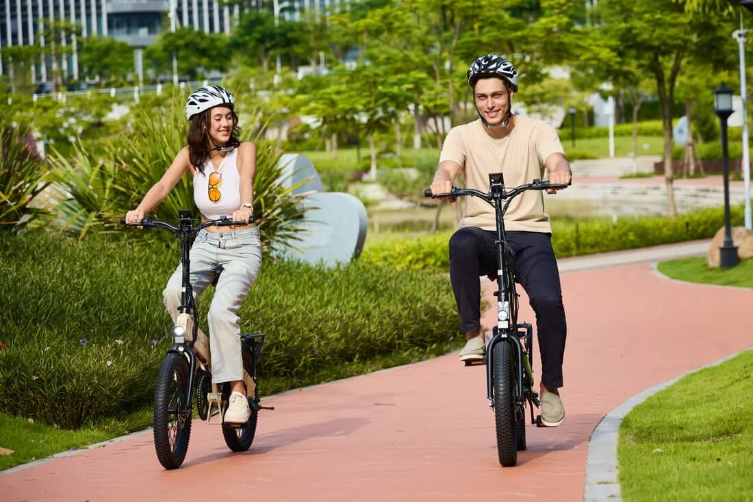 GoPowerBike GoVolt 500W 48V Folding Electric Bike