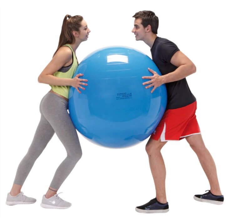Gymnic PHYSIO Exercise Ball
