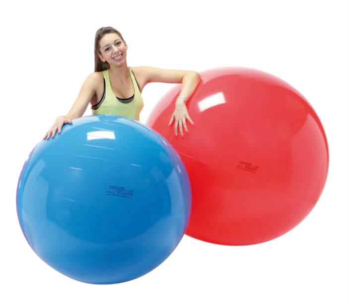 Gymnic PHYSIO Exercise Ball