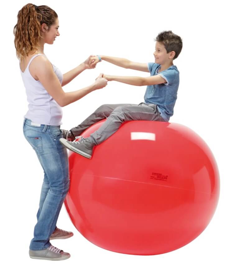 Gymnic PHYSIO Exercise Ball