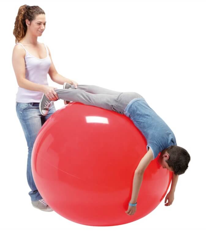 Gymnic PHYSIO Exercise Ball