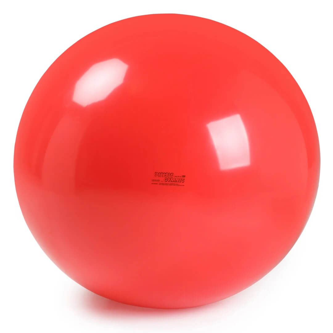 Gymnic PHYSIO Exercise Ball
