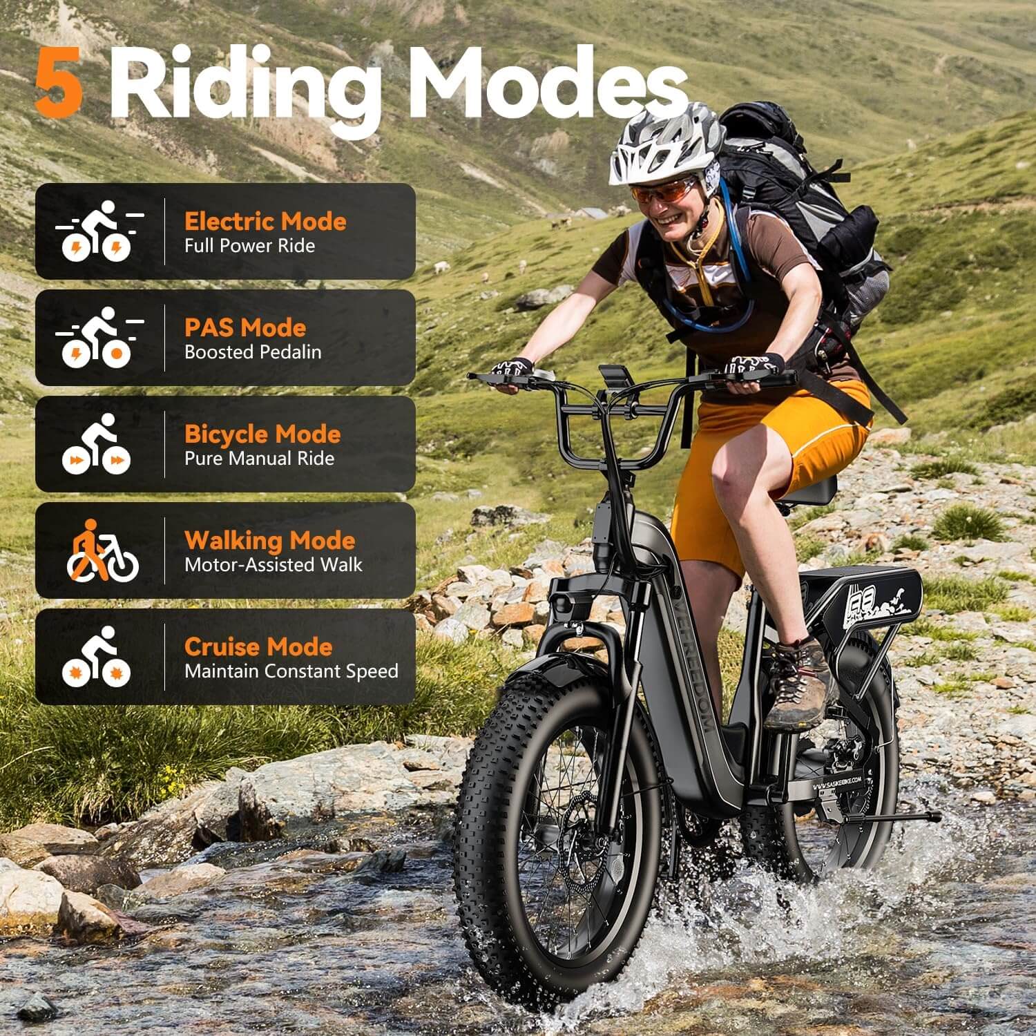 Ihahvc Vefreedom A8 1500W 48V Front Suspension Fat Tire Electric Bike