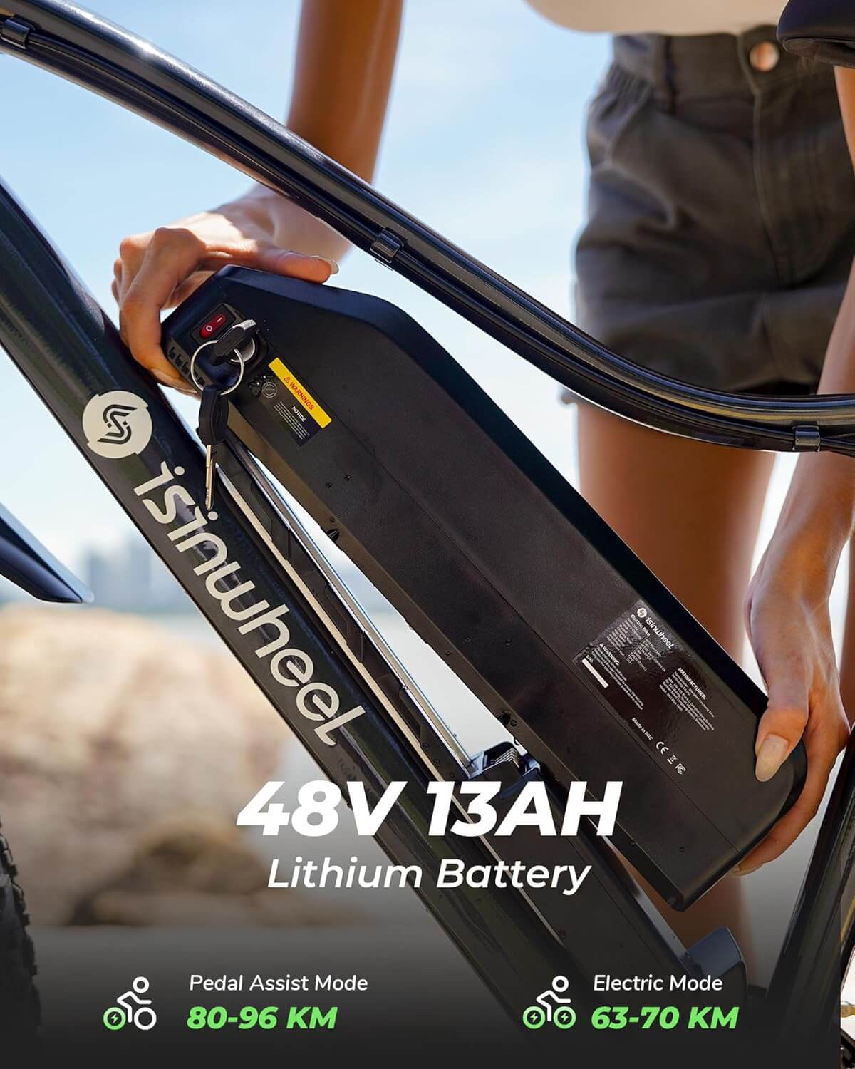 Isinwheel M10 Plus 1000W 48V 7 Speed Full Suspension Fat Tire Electric Bike