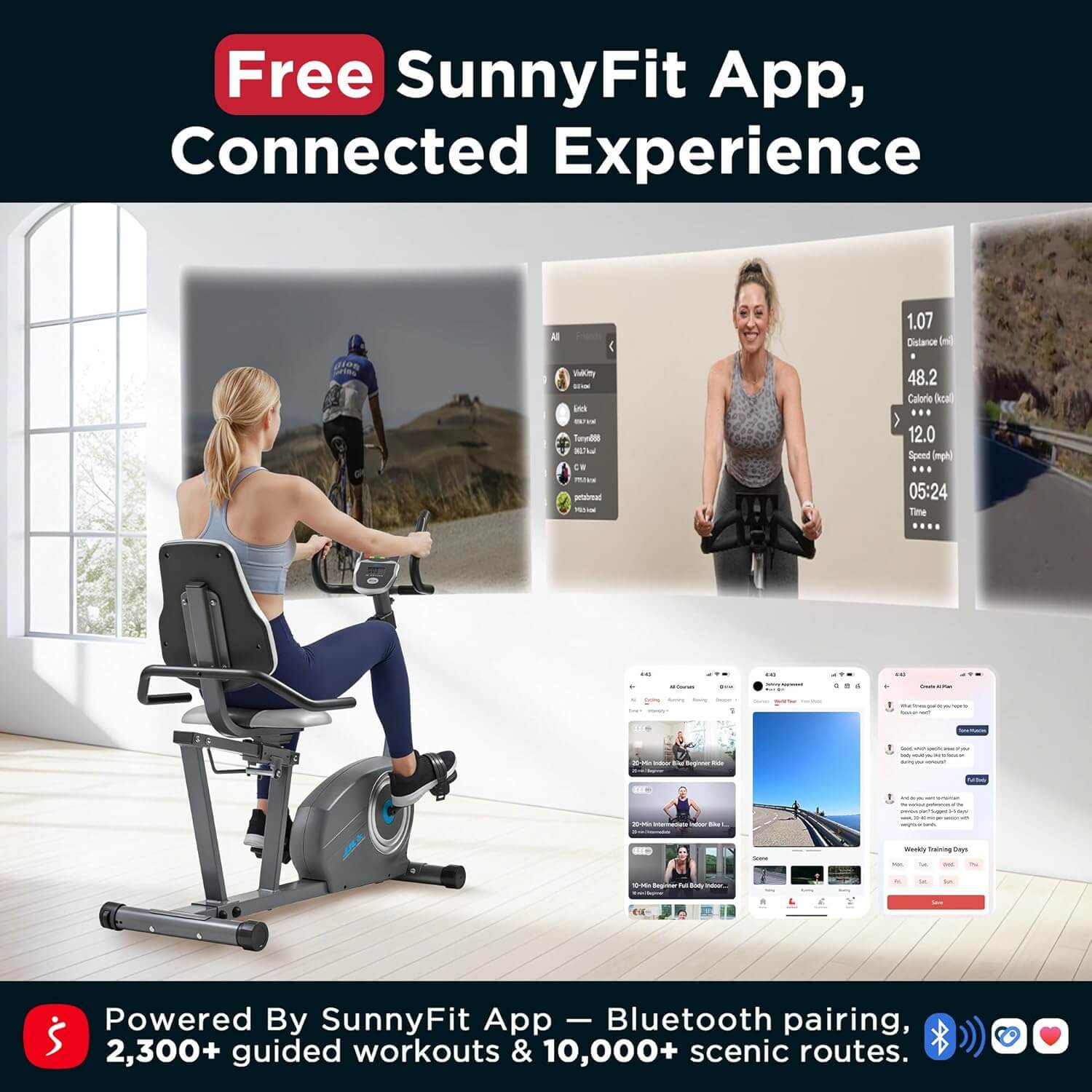 JLL ESSENTIAL Recumbent Exercise Bike