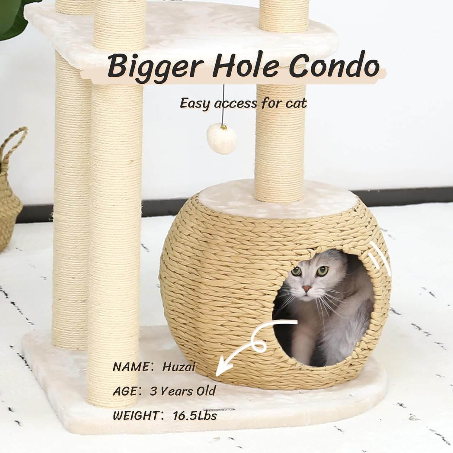 Kamaboko KM005 53" Modern Cat Tree