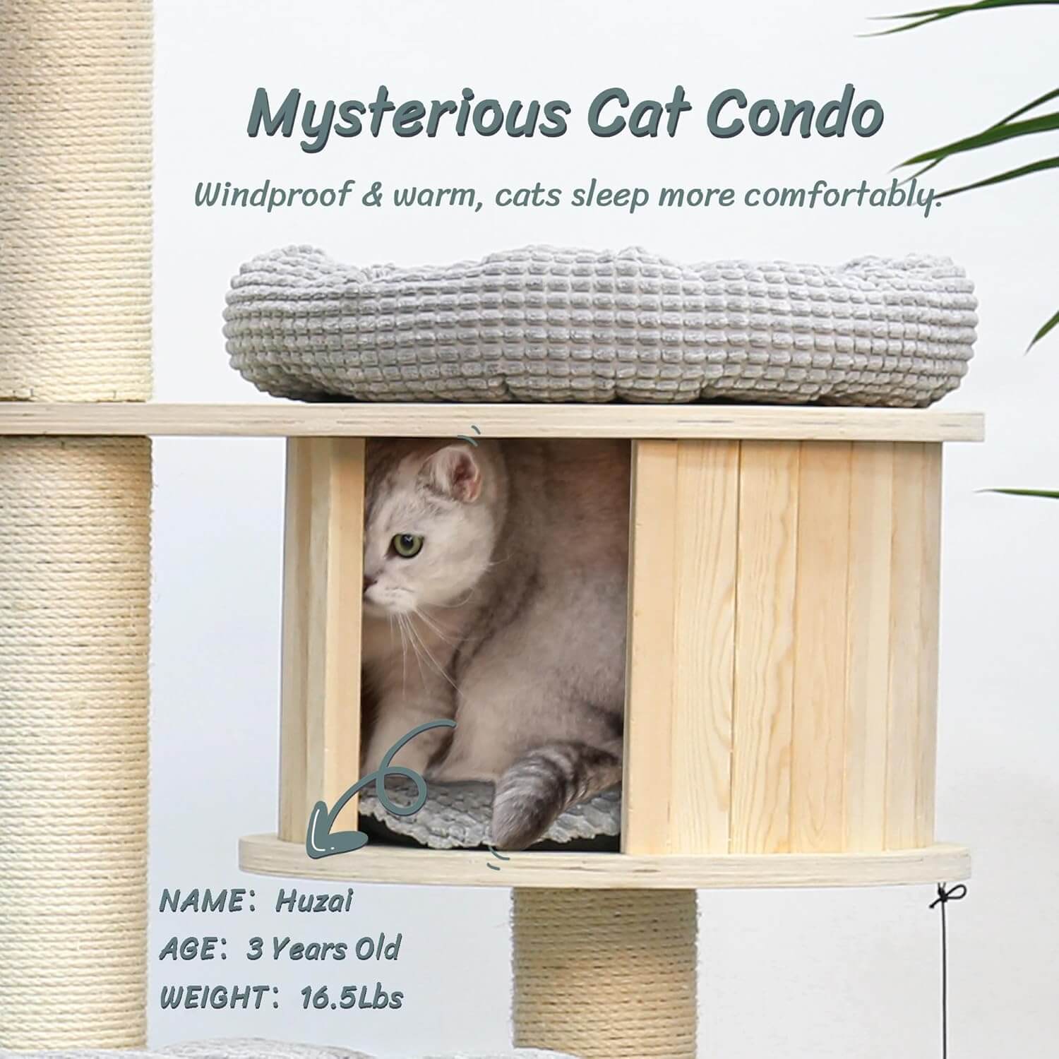 Kamaboko KM028 68" Modern Cat Tree