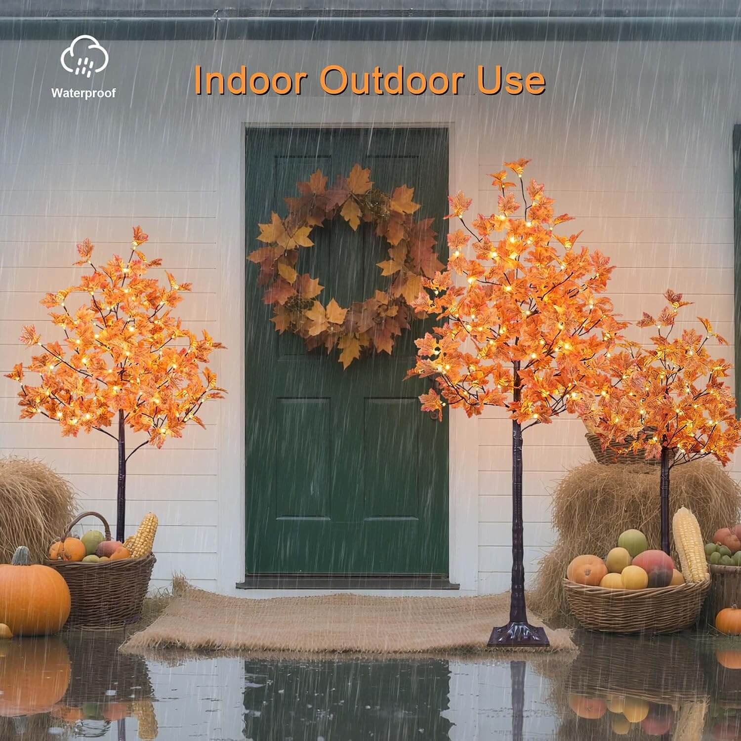 Lightshare Set of 3 Orange Maple Tree & Lights