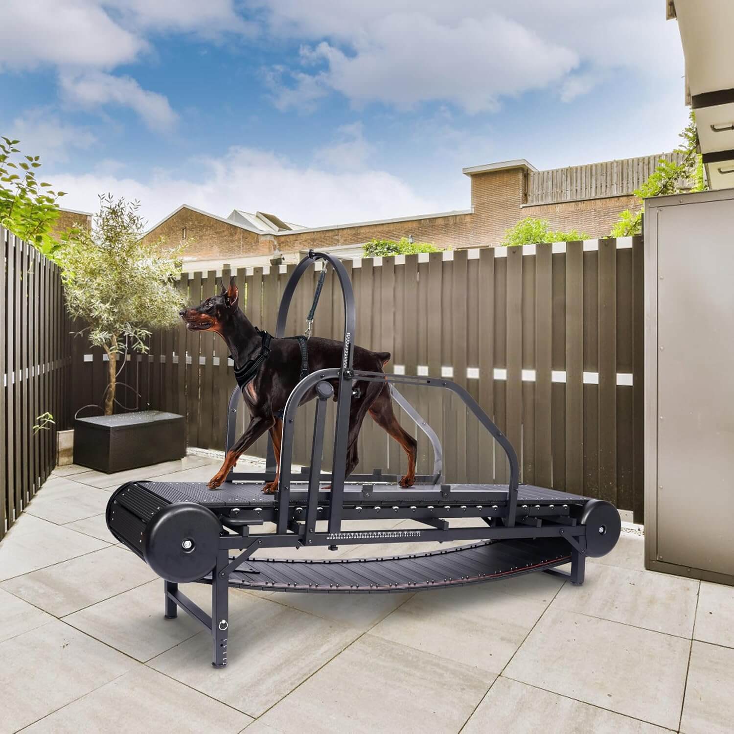 Moysoon Adjustable Ramp Dog Treadmill