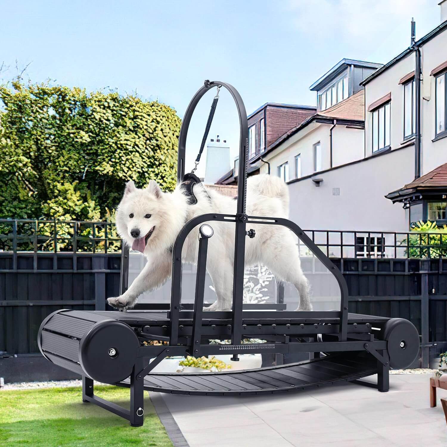 Moysoon Adjustable Ramp Dog Treadmill