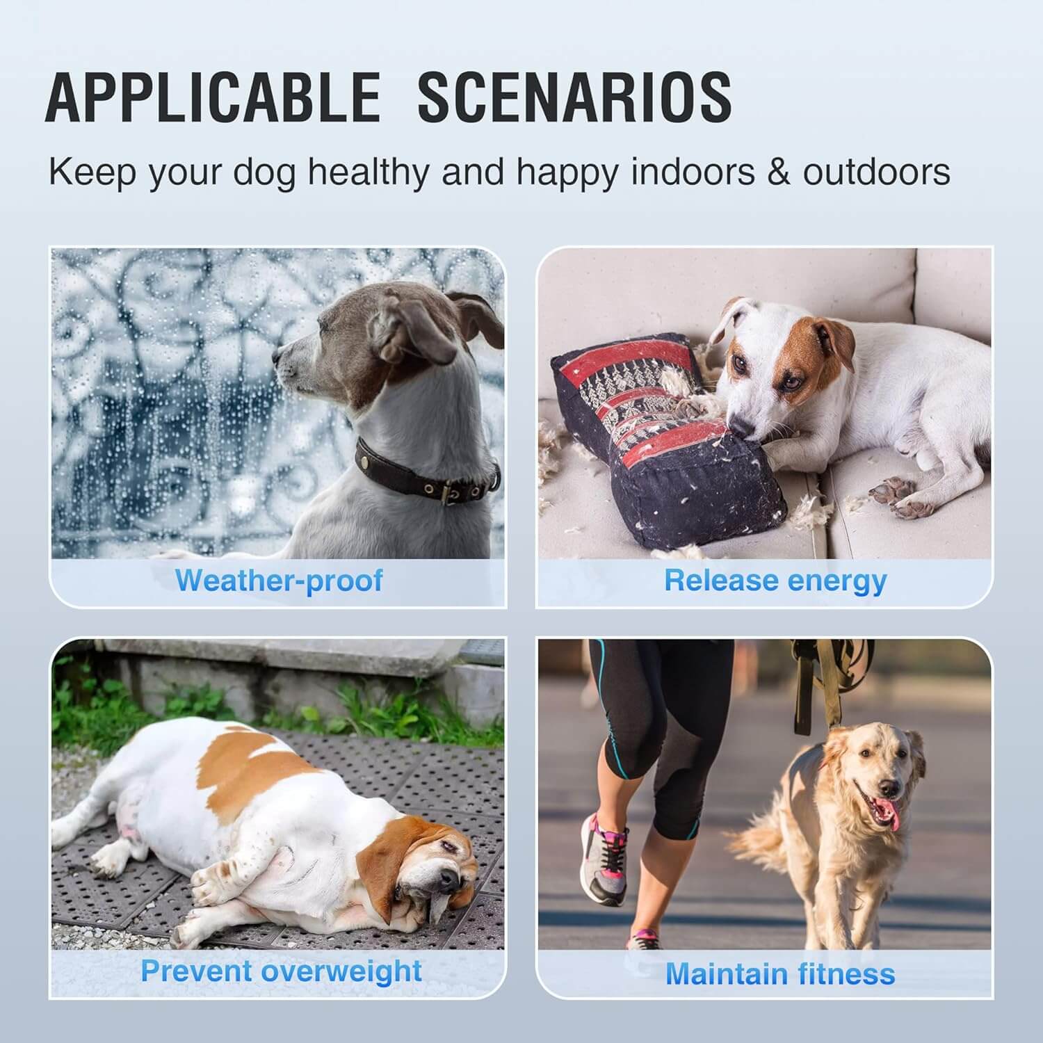 Moysoon Adjustable Ramp Dog Treadmill