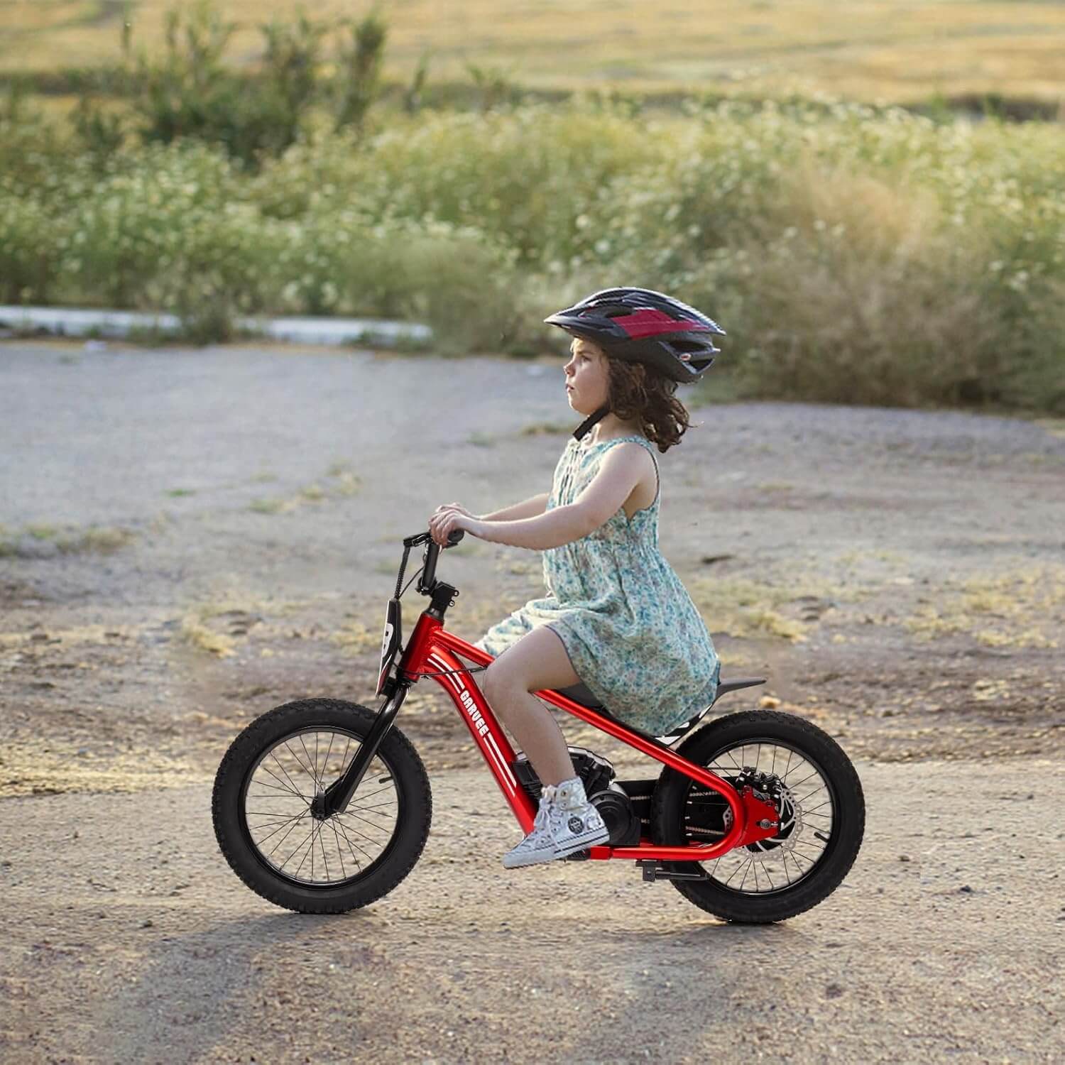Nasitip 250W 24V 3 Speed Kids' Electric Balance Bike
